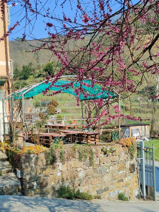 Cà di Nonni Apartamento Chiesanuova  Exterior foto